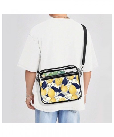 Fun Concept Clear Crossbody Shoulder Purse Bag for Men Women, Stadium Clear Messenger Bag Style-1 $12.50 Crossbody Bags