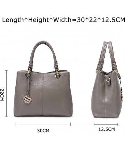 Small Shoulder Purses for Women Large Capacity Ladies Handbag Elegant Ladies One-Shoulder Messenger Bag (Color : Brown) Gray ...