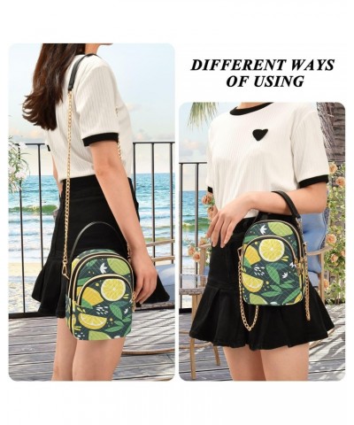 Lemons Abstract Art Crossbody Bag for Women Cell Phone Purse Wallet with Removable Chain Shoulder Handbag for Travel Passport...