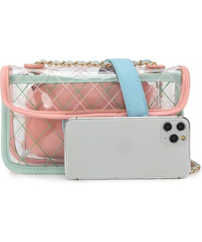 Small Clear Bag for Women See through Transparent Clutch Crossbody Shoulder Purse for Concert Sport Event Lm6726 $13.49 Satchels