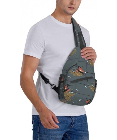 Astronaut Crossbody Bag Chest Shoulder Bag Small Casual Backpack Suitable For Women Men Hiking Barn Swallow in Graphite $20.1...